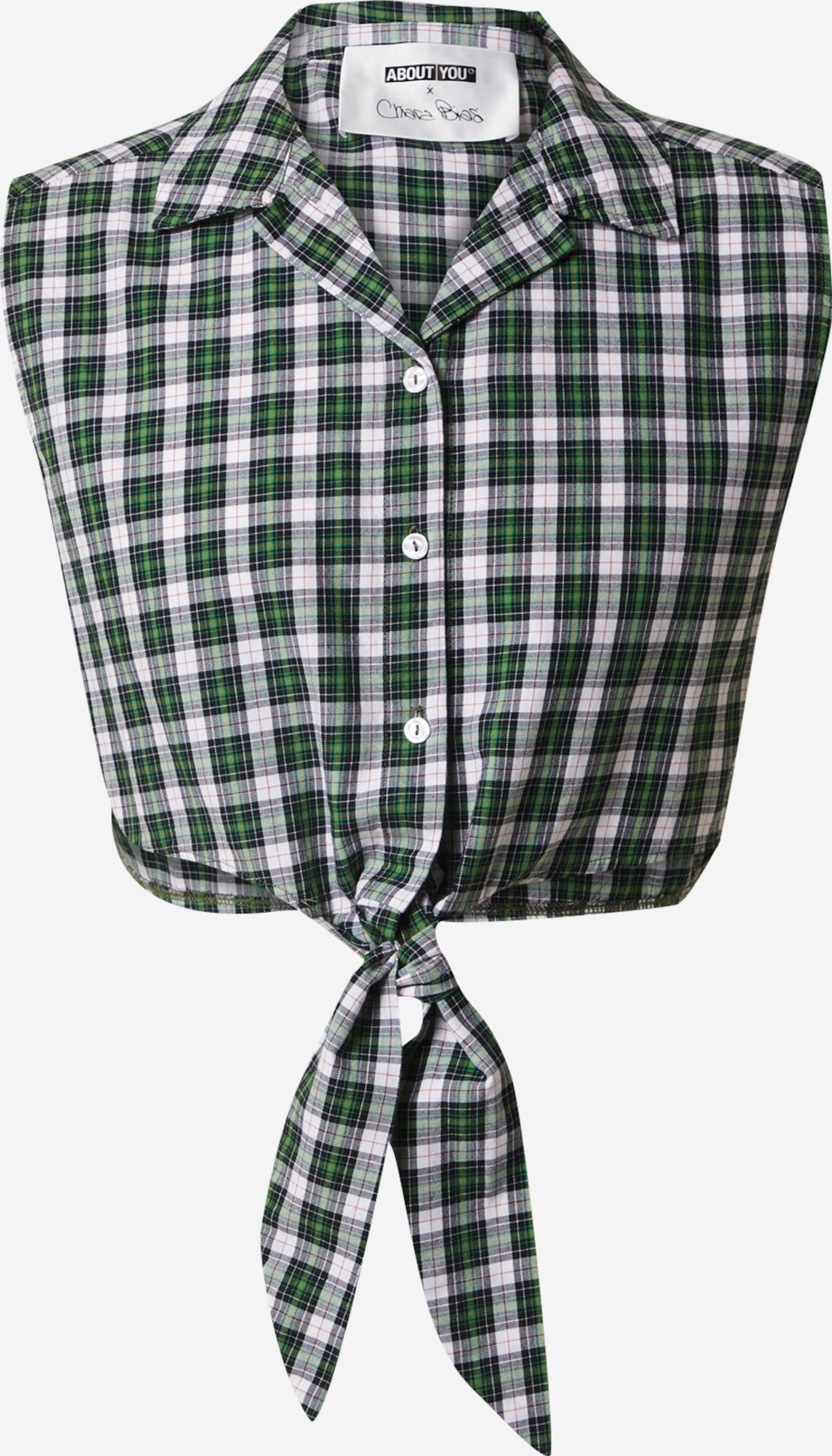  Blouse Tops Blouse Rachel Dames Groen